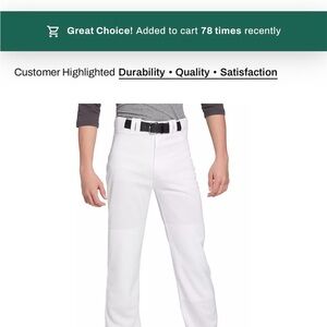 Mizuno MVP Baseball Pant